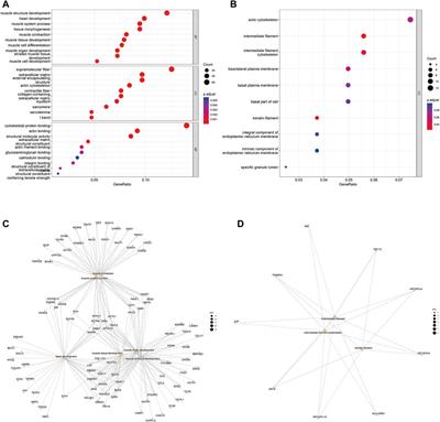 Identification and analysis of microRNA editing events in recurrent bladder cancer based on RNA sequencing: MicroRNA editing level is a potential novel biomarker